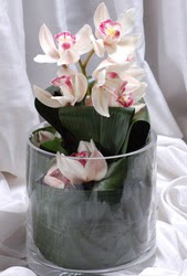  Ankara eryaman iekilik internetten iek siparii dikmen  Cam yada mika vazo ierisinde tek dal orkide
