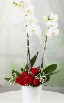 2 dall beyaz orkide 7 adet krmz gl  Ankara maaza iekilik 14 ubat sevgililer gn iek keiren 