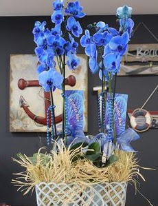 4 dall zel mavi orkide  Ankara yenimahalle iekilik iek siparii vermek kzlay 