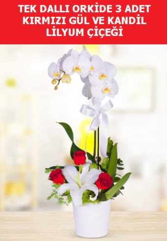 Tek dall orkide 3 gl ve kandil lilyum  Ankara anatolia ieki iek yolla  